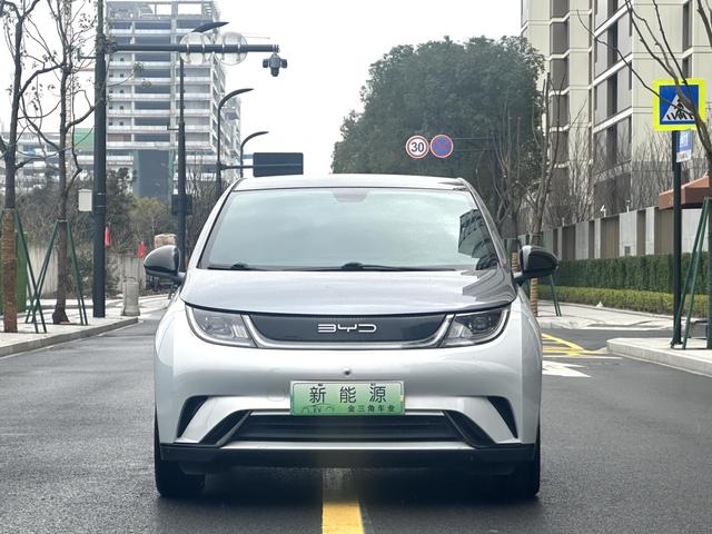 BYD Dolphin