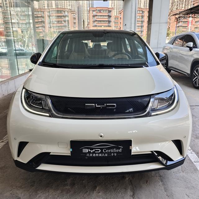 BYD Dolphin