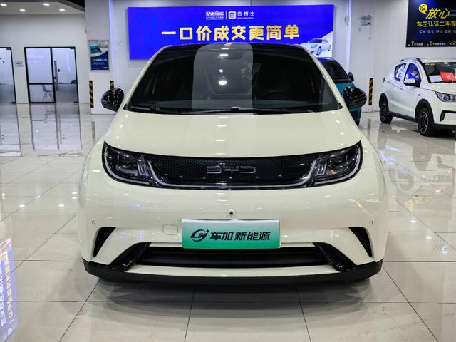 BYD Dolphin