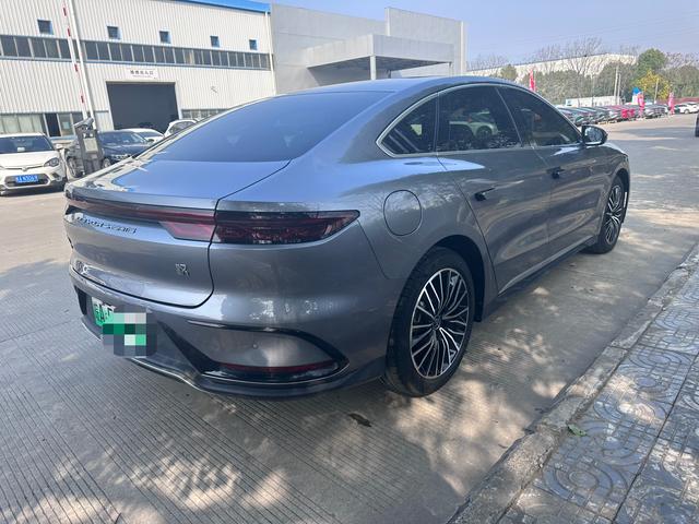 BYD Chinese DM