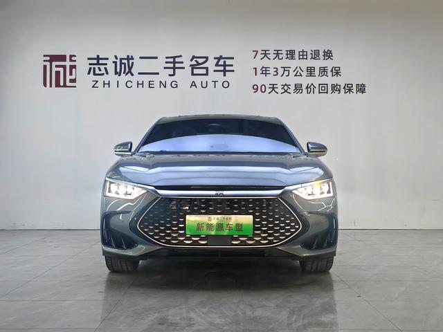 BYD Chinese DM