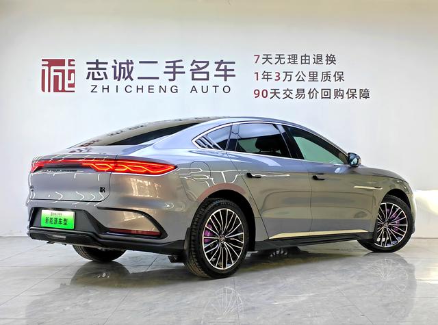 BYD Chinese DM