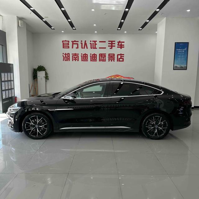 BYD Chinese DM