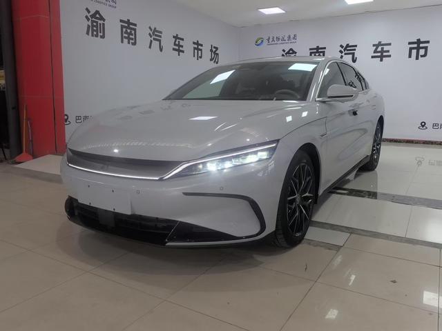 BYD Chinese DM