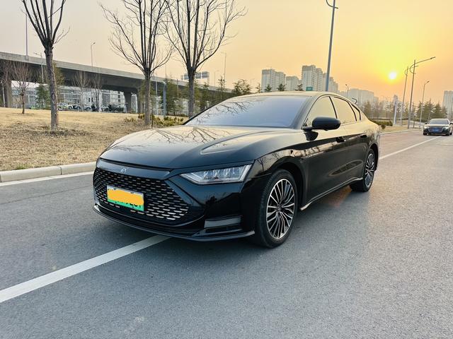 BYD Chinese DM