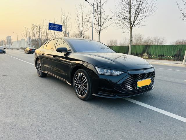 BYD Chinese DM