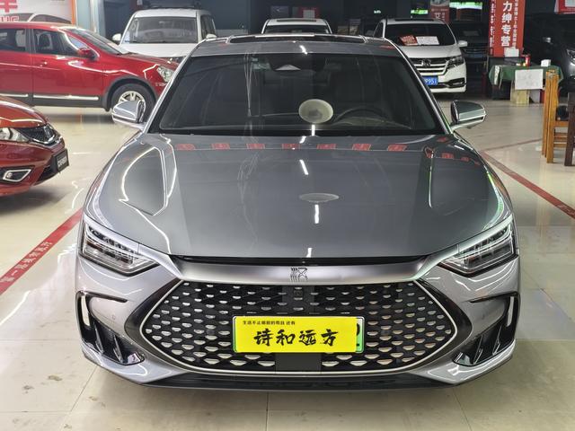 BYD Chinese DM