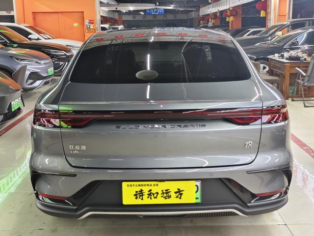 BYD Chinese DM