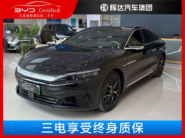 BYD Chinese DM