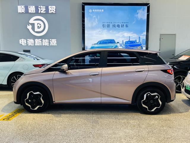 BYD Dolphin