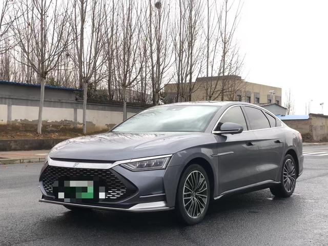 BYD Chinese DM