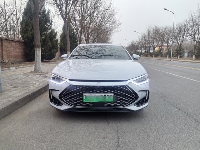 BYD Chinese DM