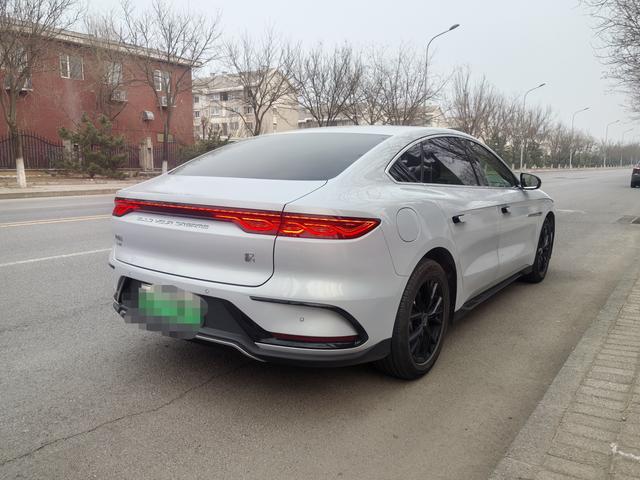 BYD Chinese DM