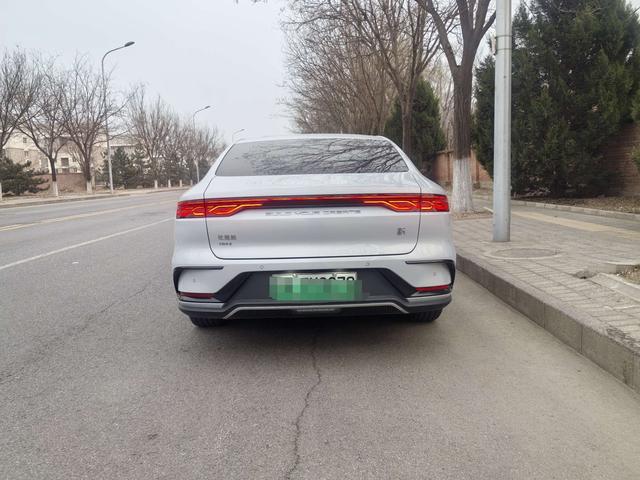 BYD Chinese DM