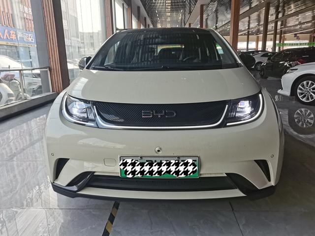 BYD Dolphin