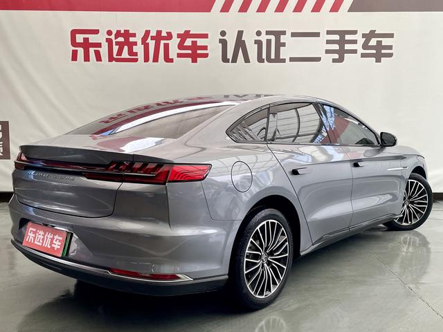 BYD Chinese DM