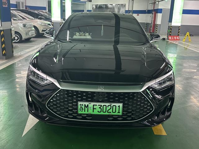 BYD Chinese DM