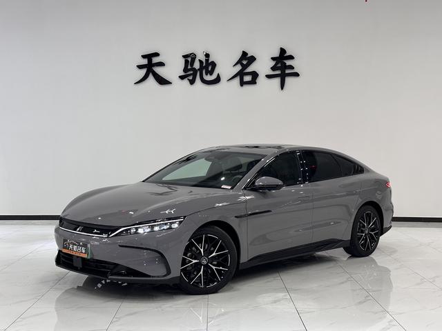 BYD Chinese DM