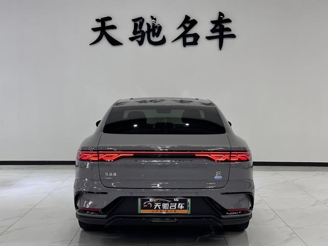 BYD Chinese DM