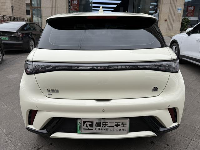 BYD Dolphin