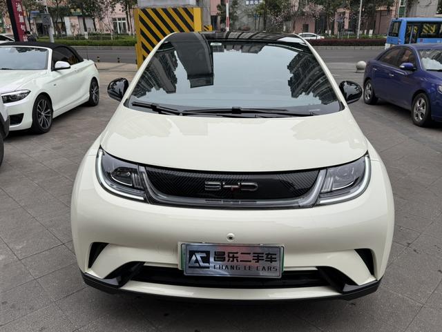 BYD Dolphin