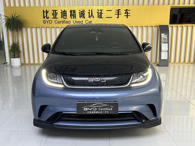 BYD Dolphin