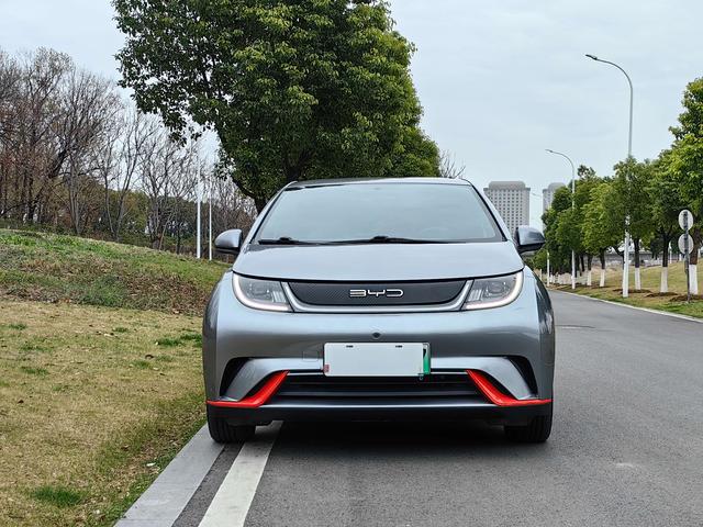 BYD Dolphin