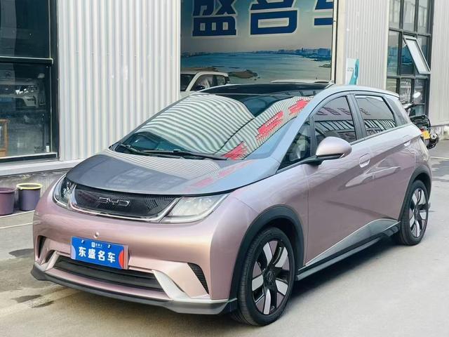 BYD Dolphin