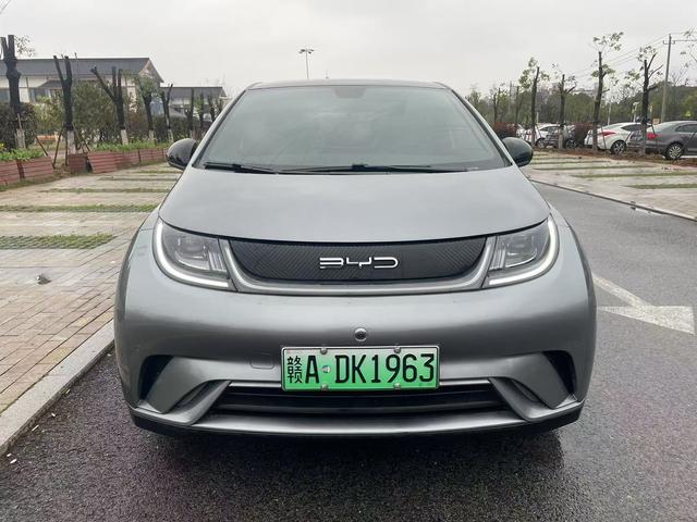 BYD Dolphin