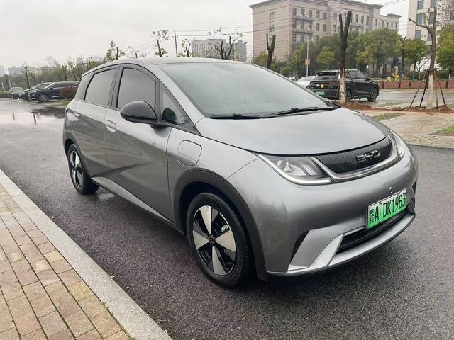 BYD Dolphin