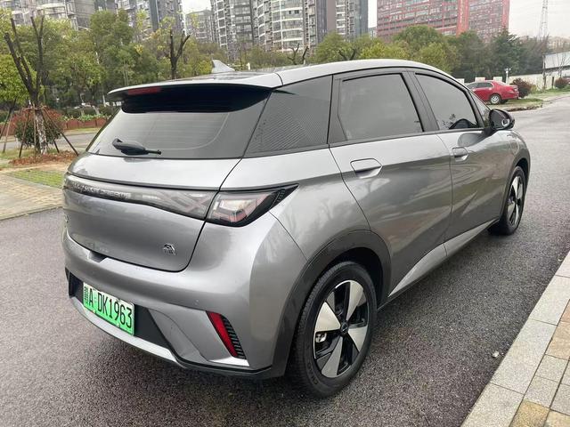 BYD Dolphin