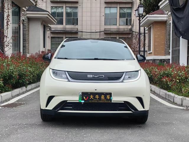 BYD Dolphin