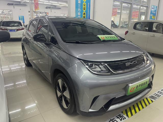 BYD Dolphin