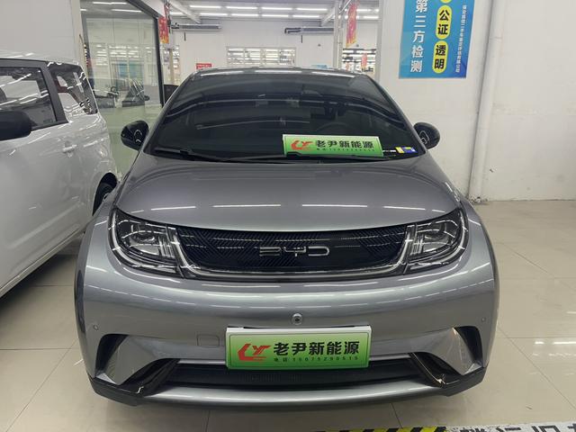 BYD Dolphin