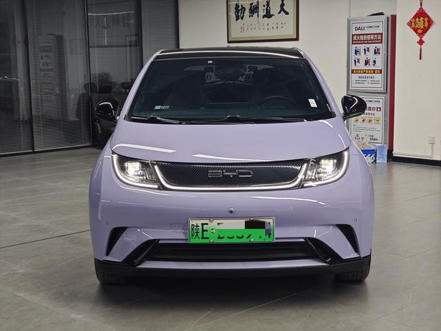 BYD Dolphin