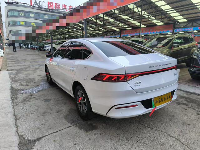 BYD Qin PLUS DM