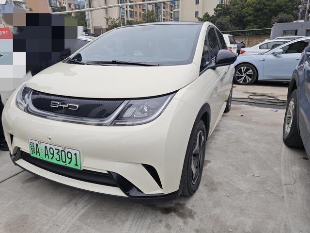 BYD Dolphin