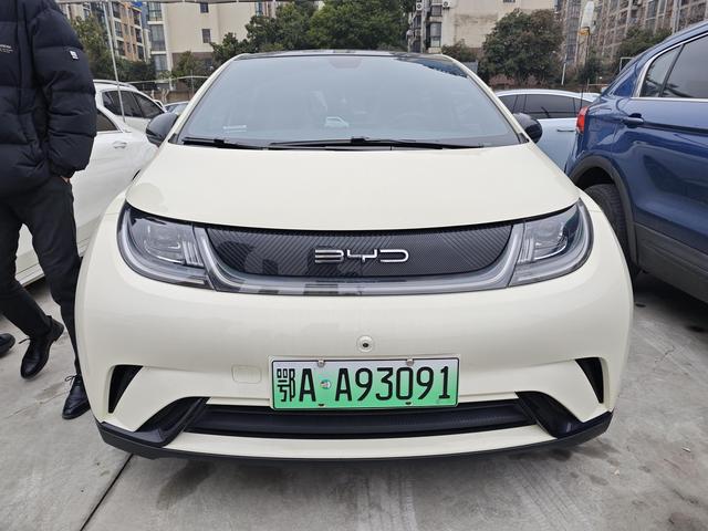 BYD Dolphin