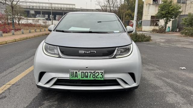 BYD Dolphin