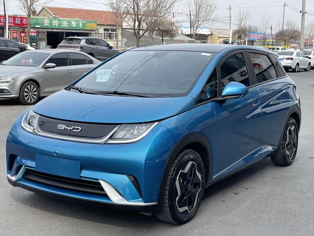 BYD Dolphin