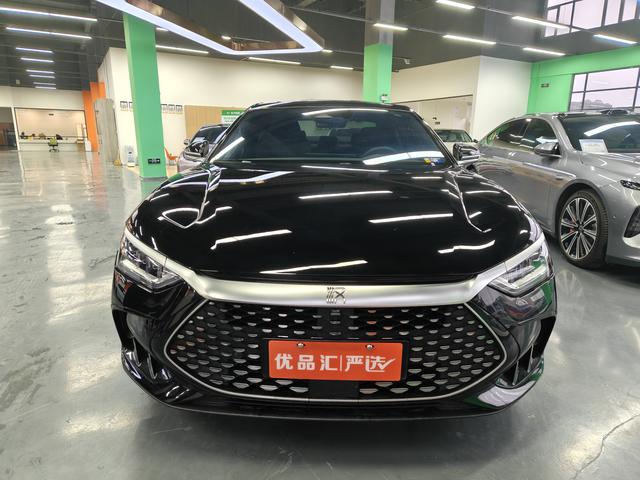 BYD Chinese DM