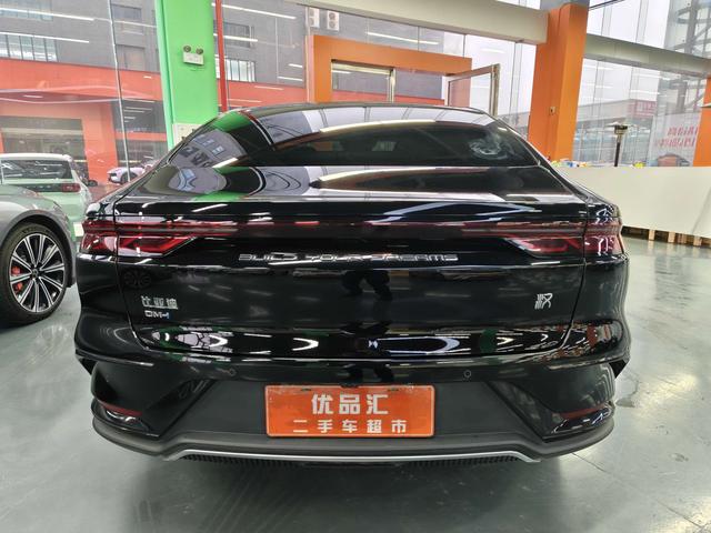 BYD Chinese DM