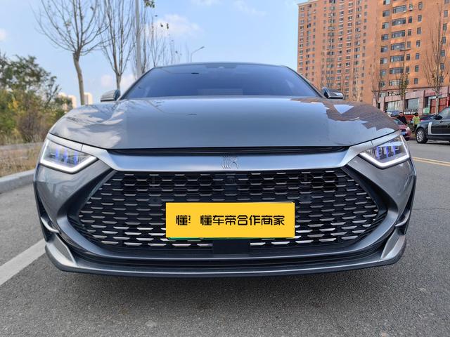 BYD Chinese DM