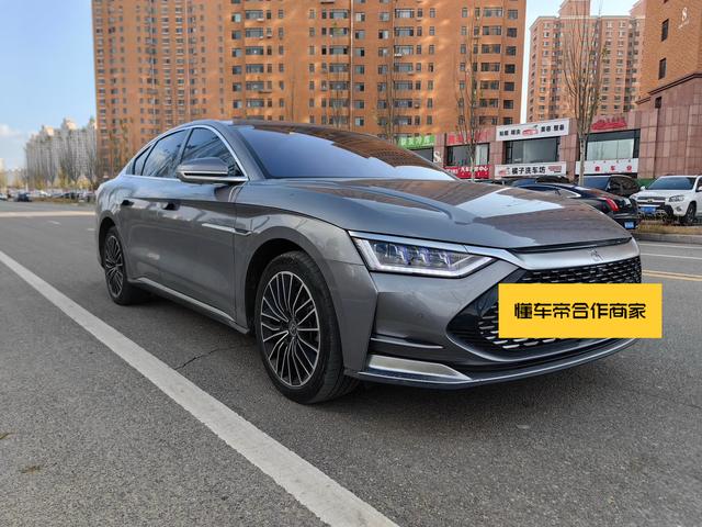 BYD Chinese DM