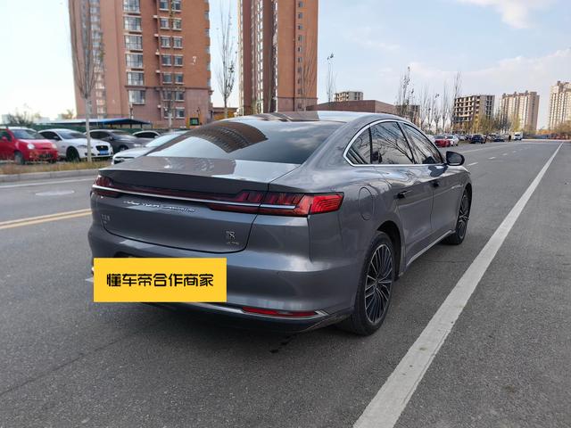 BYD Chinese DM