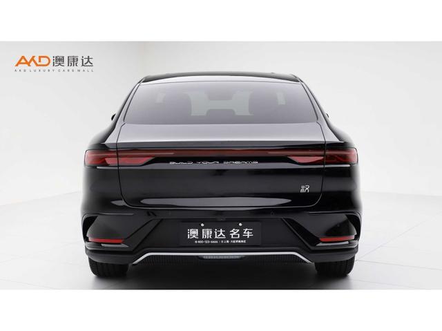 BYD Chinese DM