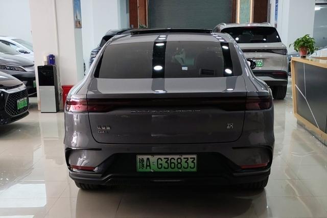 BYD Chinese DM