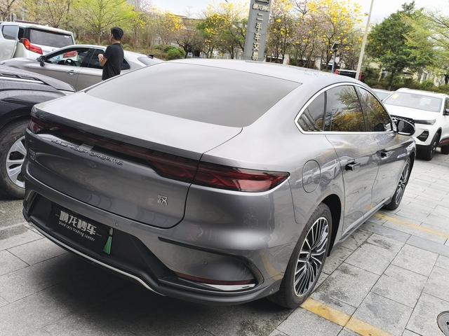 BYD Chinese DM