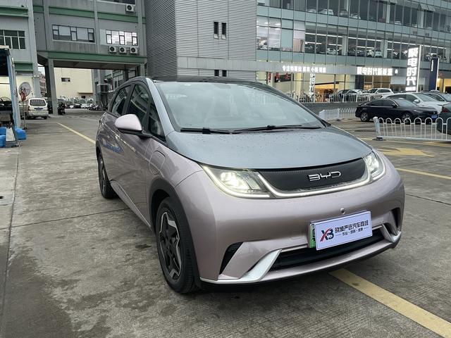 BYD Dolphin