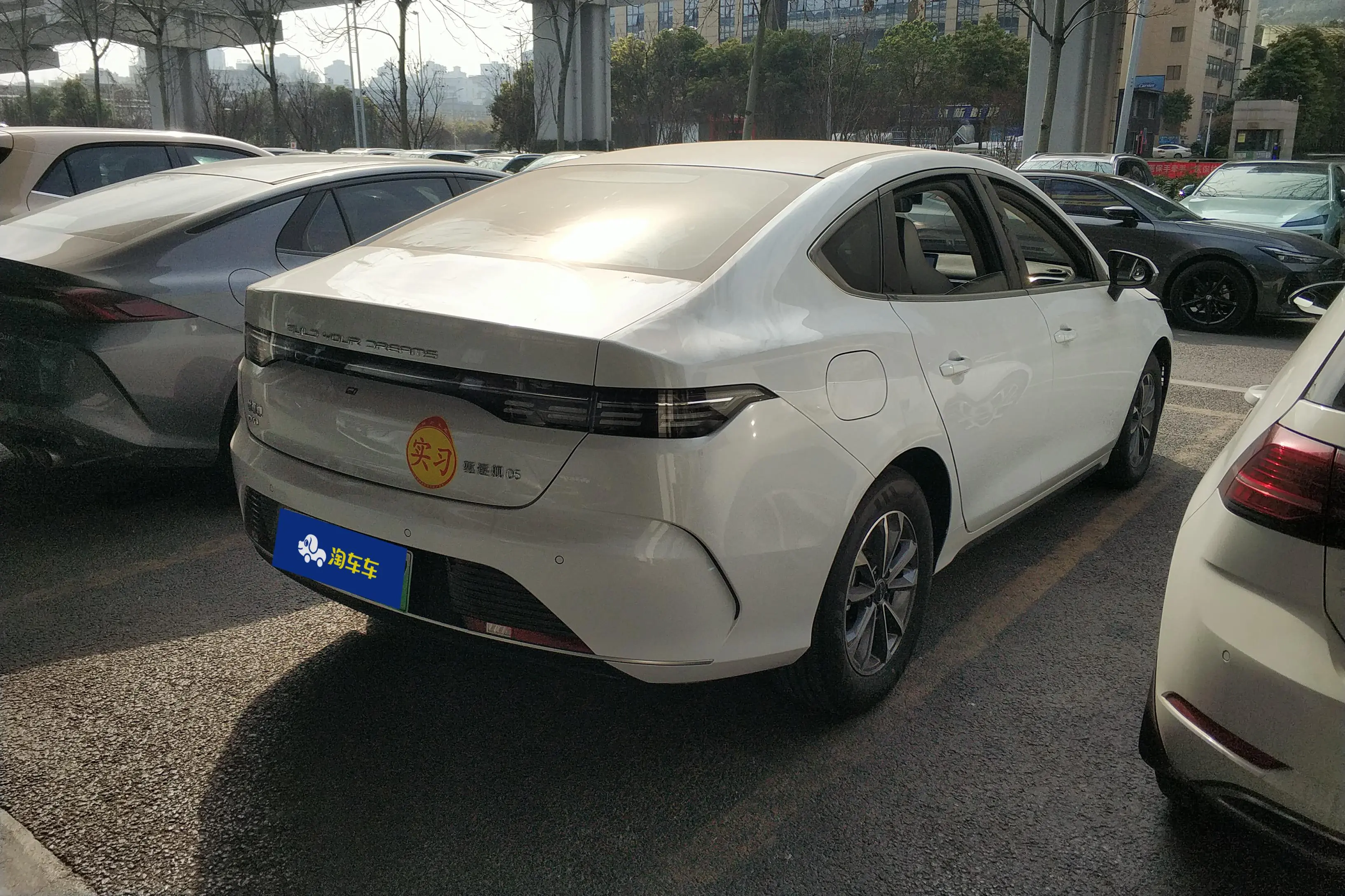 BYD Destroyer 05